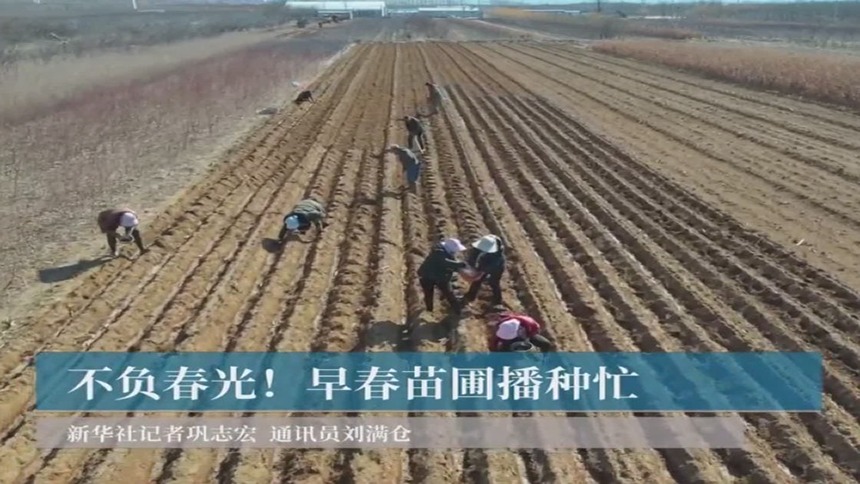 力春耕｜不负春光！早春苗圃播种忙