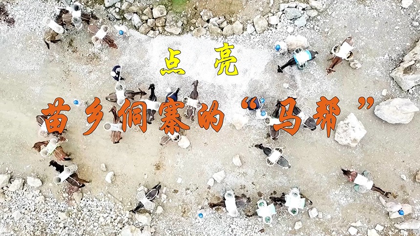 “点亮”苗乡侗寨的“马帮”