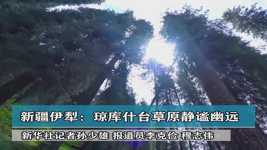 新疆伊犁：琼库什台草原静谧幽远