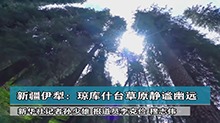 新疆伊犁：琼库什台草原静谧幽远