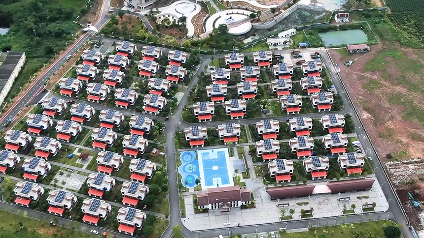 海南白沙：丰收不停季 生态移民新村“种下”幸福